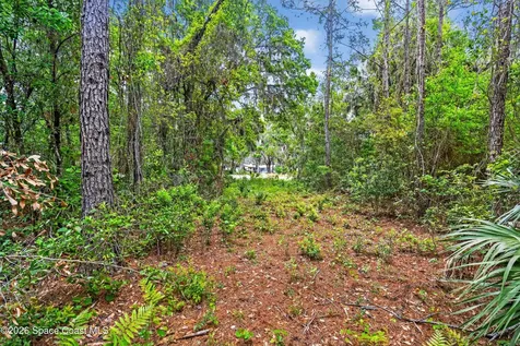 1239, 41, 43 County Road 309 Crescent City FL 32112