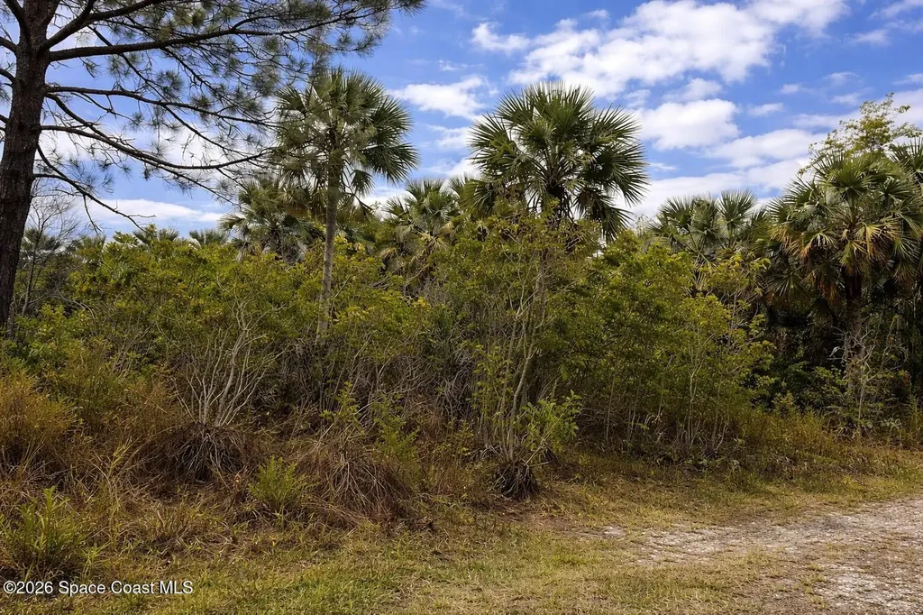 2041 Day Avenue SW Palm Bay FL 32908