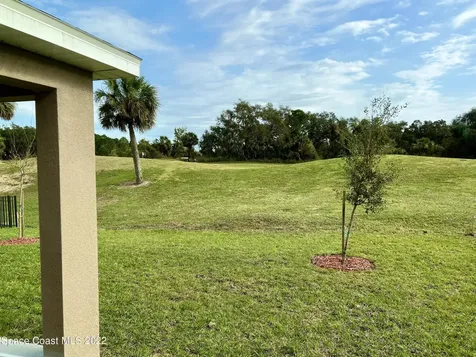 3400 Burrowing Owl Drive Mims FL 32754