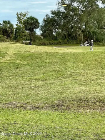 3400 Burrowing Owl Drive Mims FL 32754