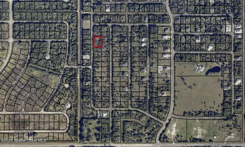 2123 Alwar Avenue Palm Bay FL 32908