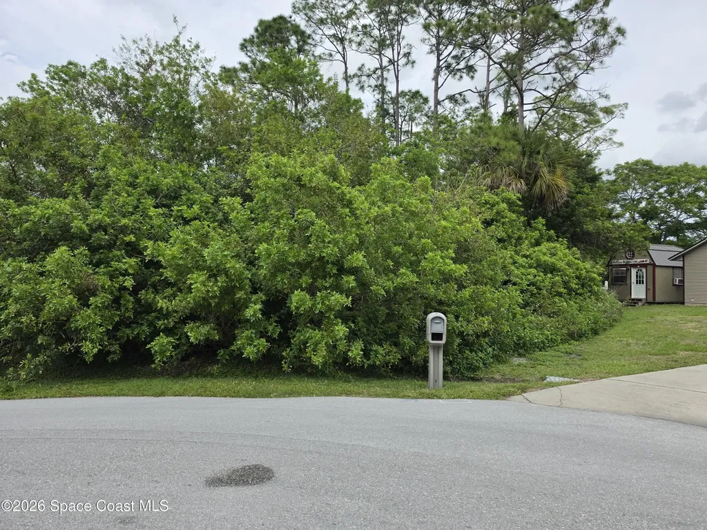 1723 Delki Street NW Palm Bay FL 32907