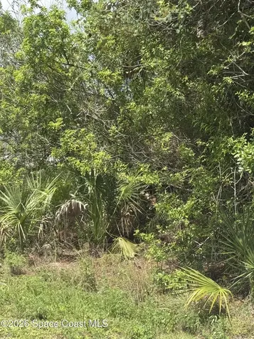1872 Red Bud Circle NW Palm Bay FL 32907