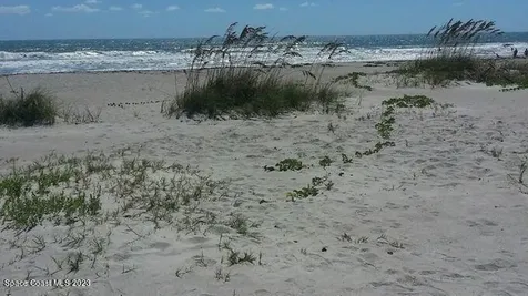 965 Date Avenue Merritt Island FL 32953