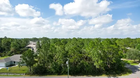 509 Fellenz Street SW Palm Bay FL 32908