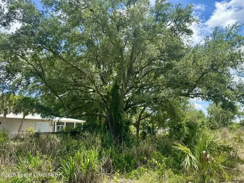 5560 Cangro Street Cocoa FL 32926