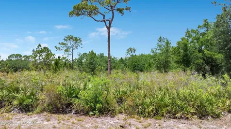 10 Golfview Avenue Cocoa FL 32927