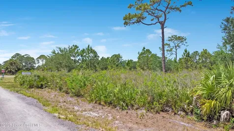10 Golfview Avenue Cocoa FL 32927