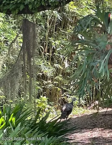 275 Ibis Drive Melbourne Beach FL 32951