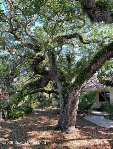 275 Ibis Drive Melbourne Beach FL 32951