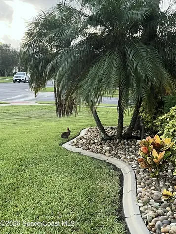 3301 Charon Avenue Melbourne FL 32904