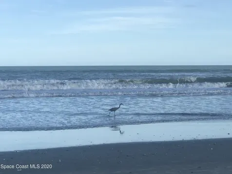 2100 N Atlantic Avenue Cocoa Beach FL 32931