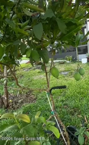 3403 Cloudberry Place Melbourne FL 32940