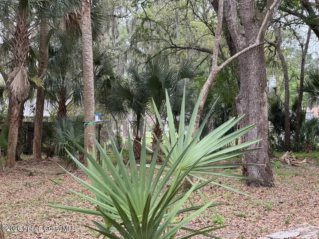 1160 Grapefruit Road SE Palm Bay FL 32909