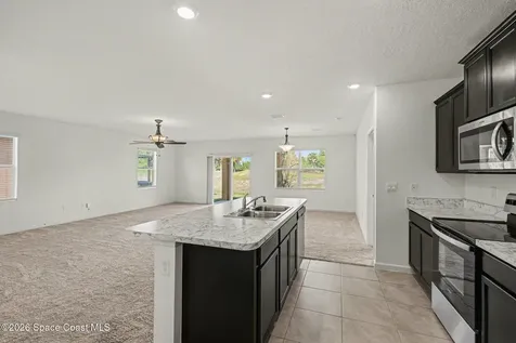 3420 Burrowing Owl Drive Mims FL 32754