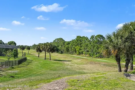 3420 Burrowing Owl Drive Mims FL 32754