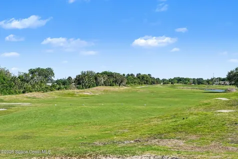 3420 Burrowing Owl Drive Mims FL 32754