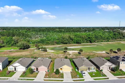 3420 Burrowing Owl Drive Mims FL 32754
