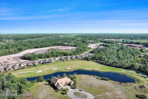 3420 Burrowing Owl Drive Mims FL 32754