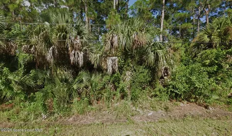 1067 Harlingen Road SW Palm Bay FL 32908