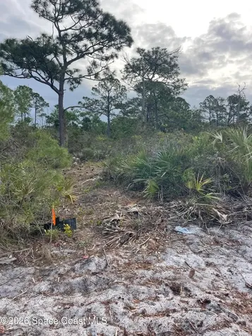 0 Unknown Street Mims FL 32754