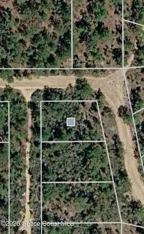 116 Manchester Avenue Interlachen FL 32148