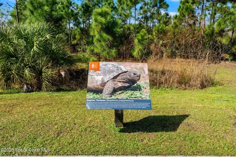 1464 Blessed Isles Drive NW Palm Bay FL 32907
