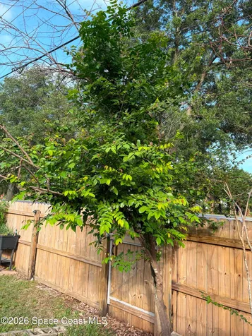 1835 Longleaf Road Cocoa FL 32926