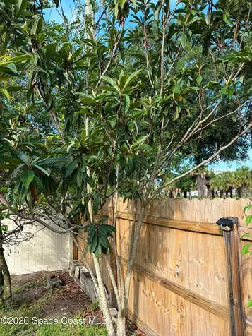 1835 Longleaf Road Cocoa FL 32926