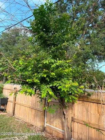 1835 Longleaf Road Cocoa FL 32926
