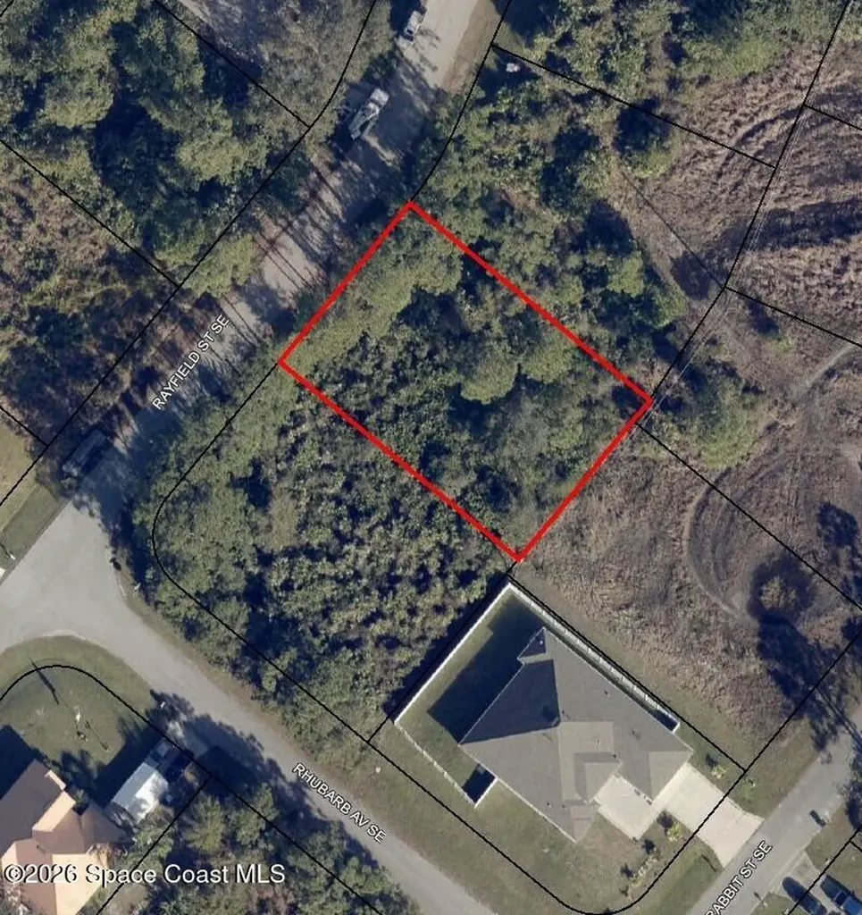 1260 Rayfield Street SE Palm Bay FL 32909