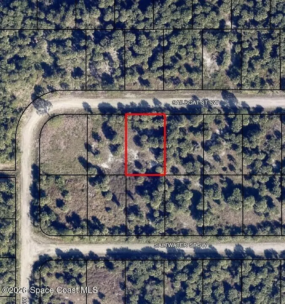 882 Sailboat Street SW Palm Bay FL 32908
