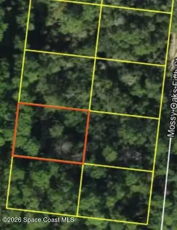 200 Mossy Oaks Fourth Street Other FL 99999