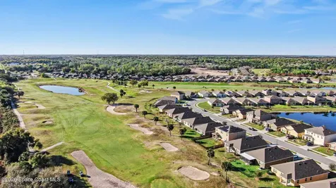 3520 Burrowing Owl Drive Mims FL 32754