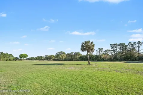 3520 Burrowing Owl Drive Mims FL 32754