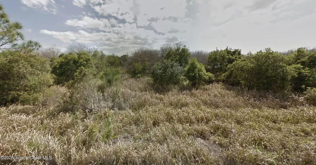 1558 Burney Street SW Palm Bay FL 32908