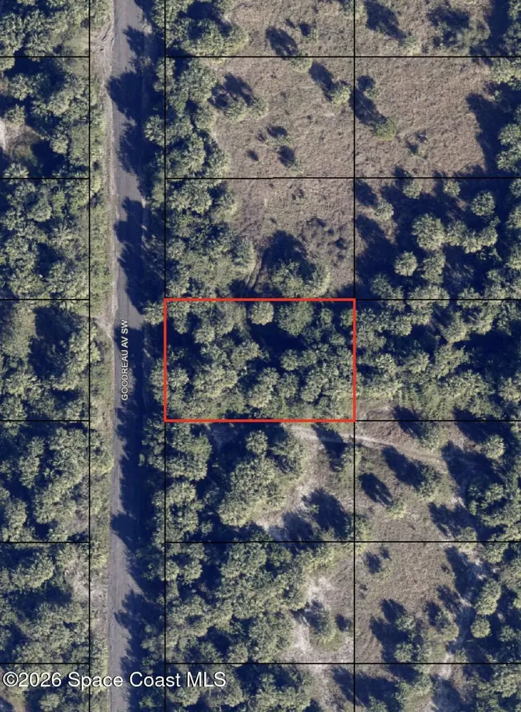 1981 Goodreau Avenue SW Palm Bay FL 32908