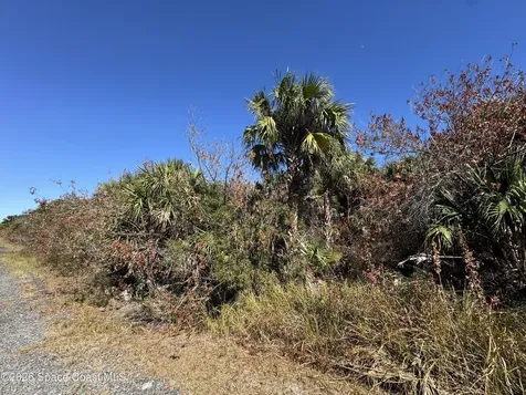 1981 Goodreau Avenue SW Palm Bay FL 32908