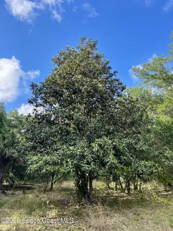 9201 Babcock Street SE Palm Bay FL 32909