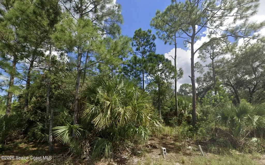 3081 Tinley Road SE Palm Bay FL 32909