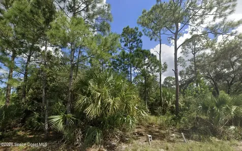 3081 Tinley Road SE Palm Bay FL 32909
