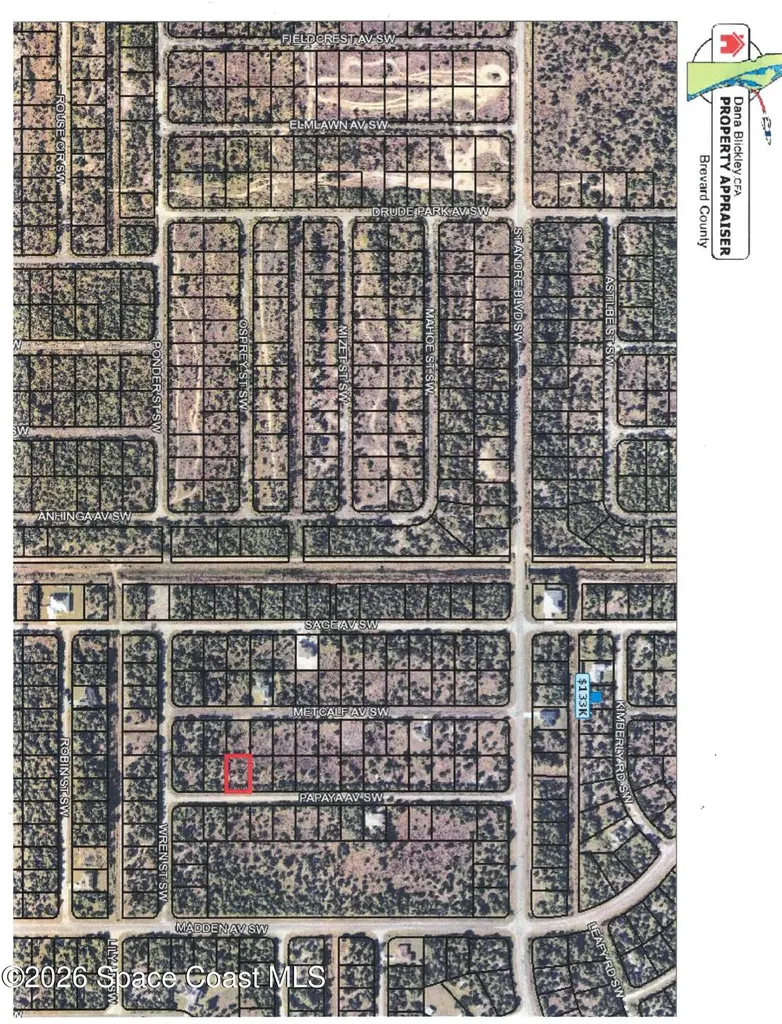3182 Papaya Avenue SW Palm Bay FL 32908