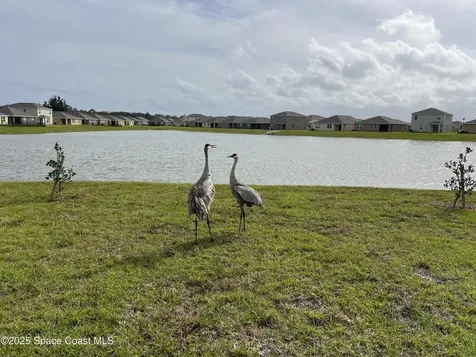976 Trinity Street Rockledge FL 32955