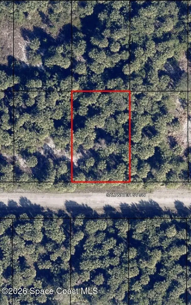 827 Saltwater Street SW Palm Bay FL 32908