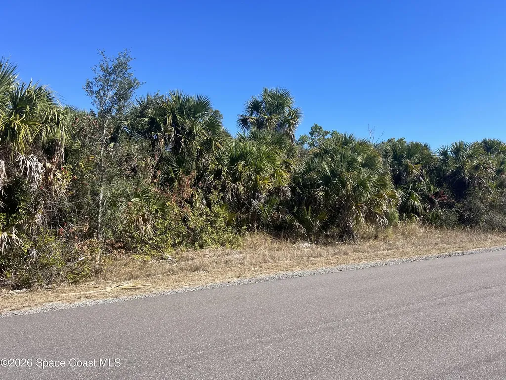 541 La Goy Street SW Palm Bay FL 32908