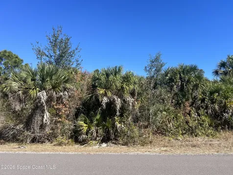541 La Goy Street SW Palm Bay FL 32908