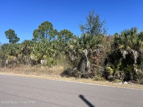 541 La Goy Street SW Palm Bay FL 32908