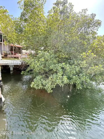 239 Poinciana Island Drive North Miami Beach FL 33160