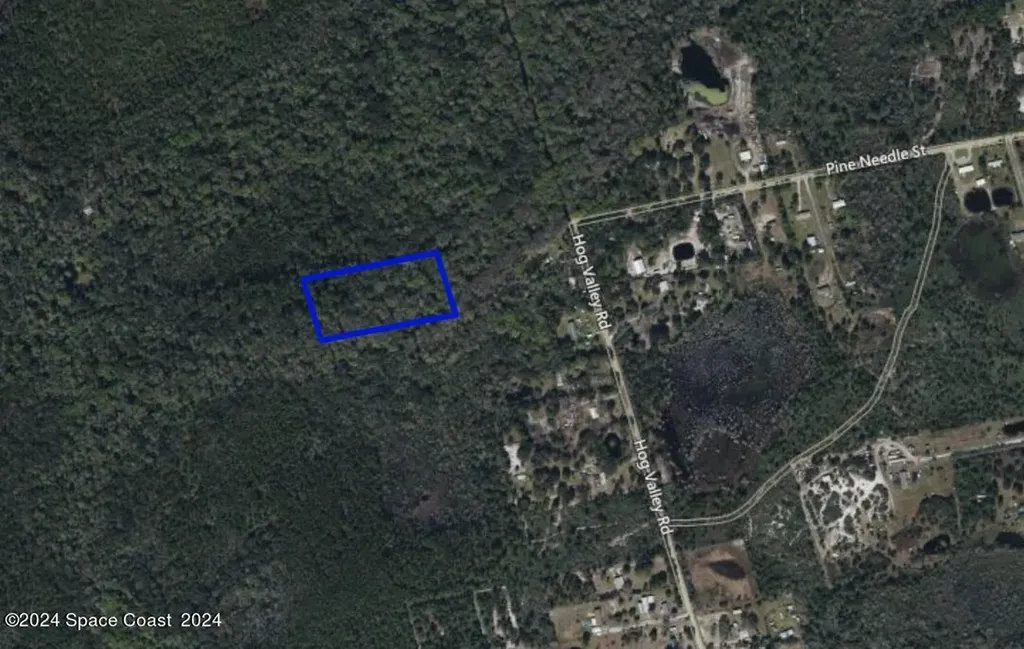 Xxx Pine Needle Street Mims FL 32754