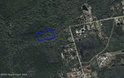 Xxx Pine Needle Street Mims FL 32754